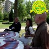 festival 2014 31